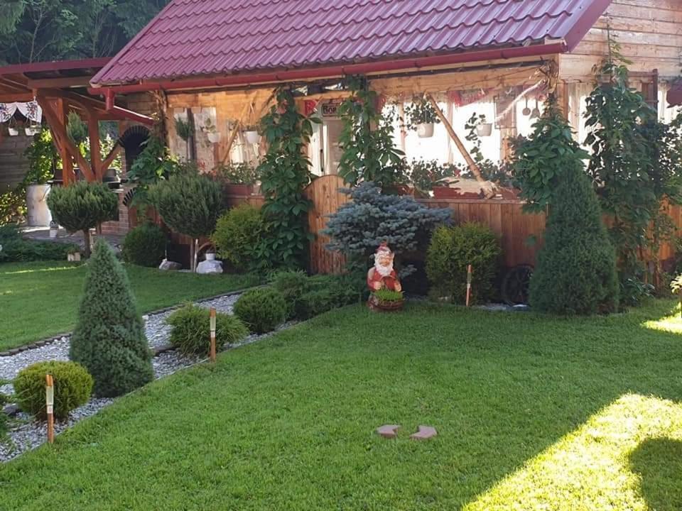 Pensiunea Gianina Arieseni Luaran gambar
